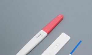 Когда по анализу крови на ХГЧ можно определить беременность?